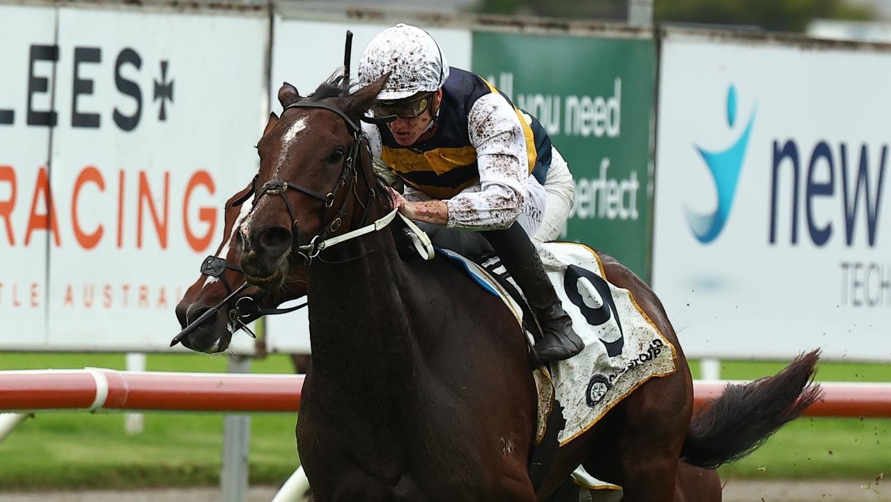 Hezashocka hunting modern-day history with back-to-back Gosford Gold Cup wins
