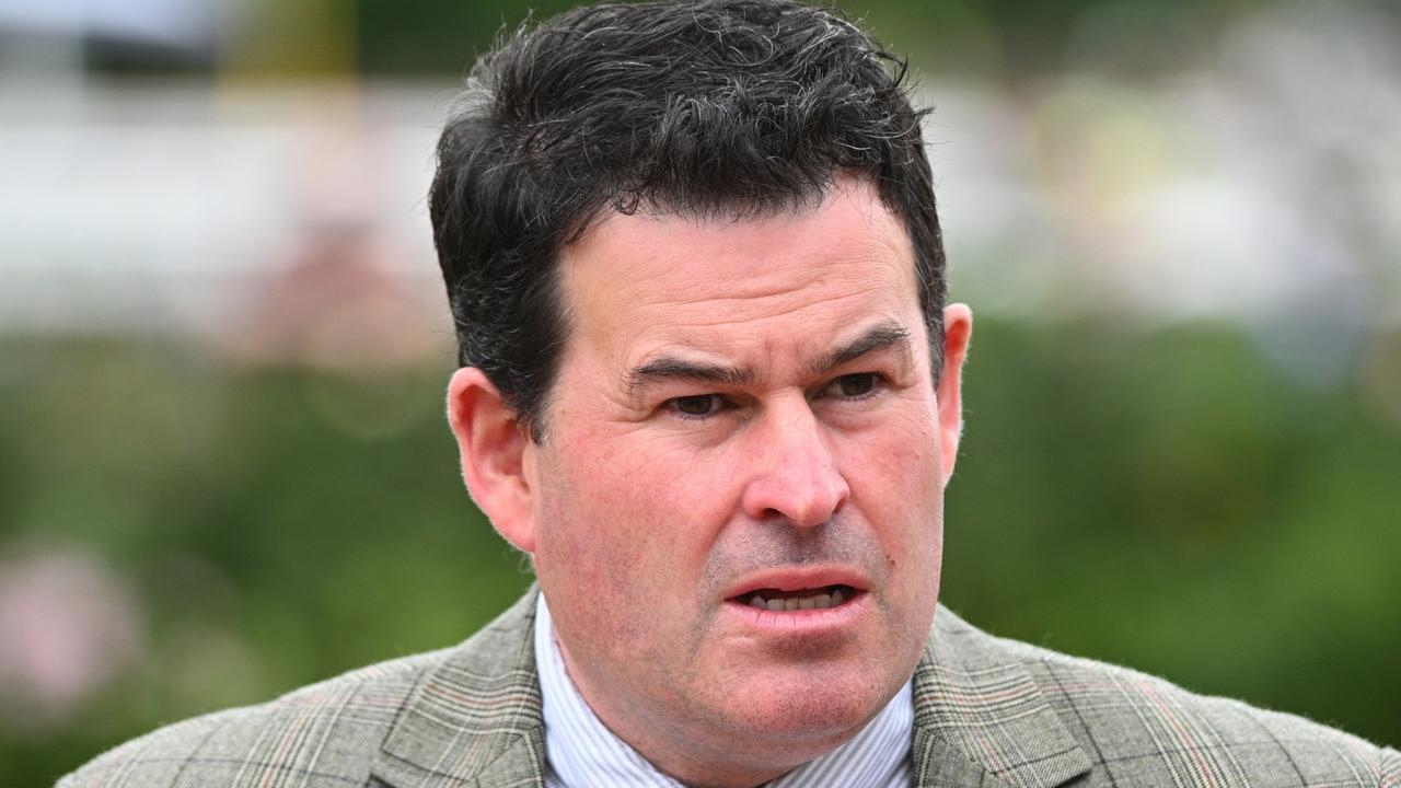 2025 VOBIS Gold Strike at Warrnambool preview: Henry Dwyer with Miss Ellaneous