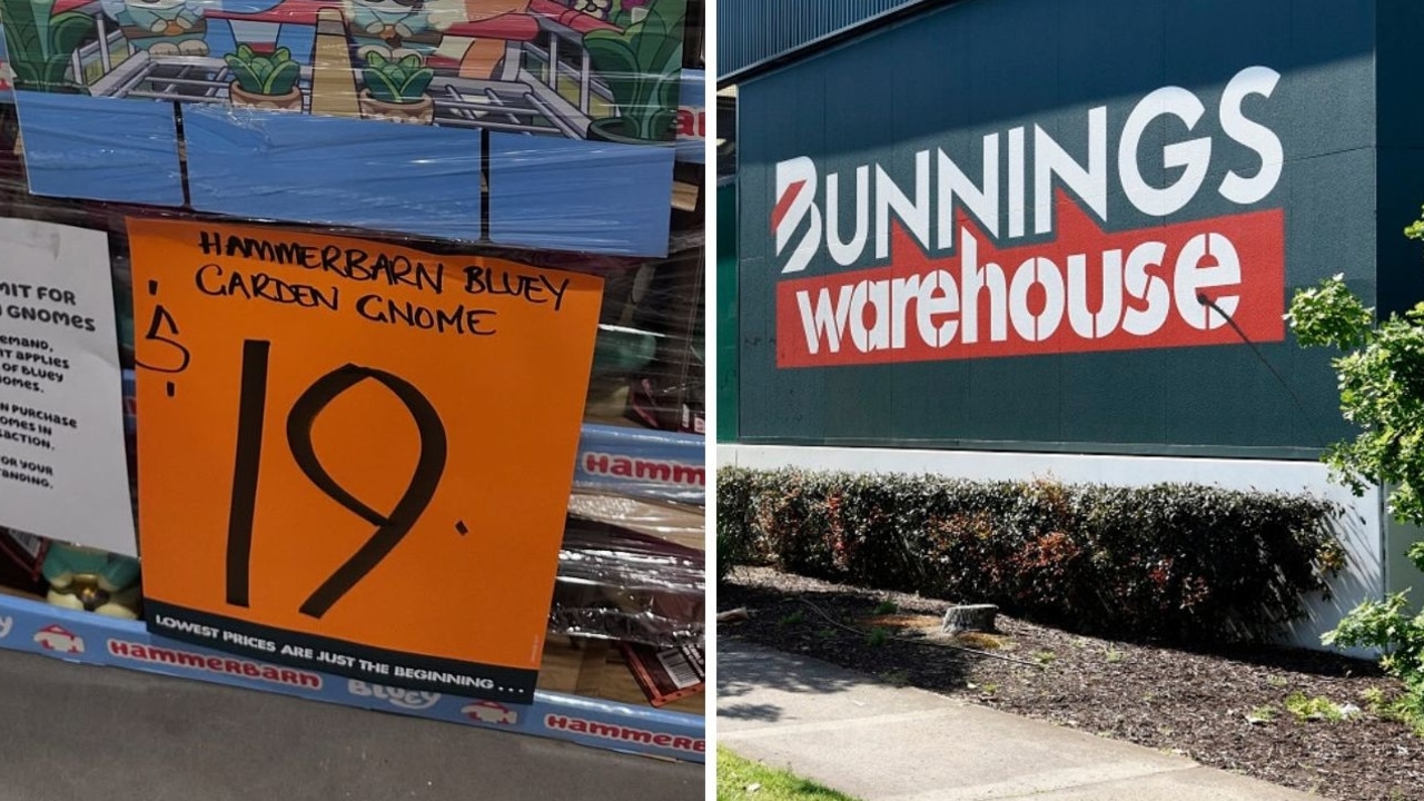 Aussies flock to Bunnings at 6am as Bluey gnomes back on shelves