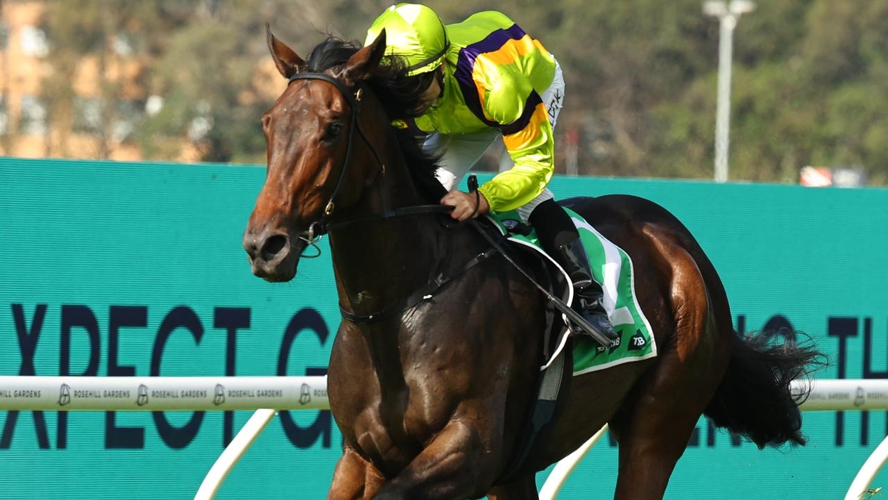 Boys Night Out secures trainer Matt Dunn his 39th Highway victory at Rosehill after 46-week drought