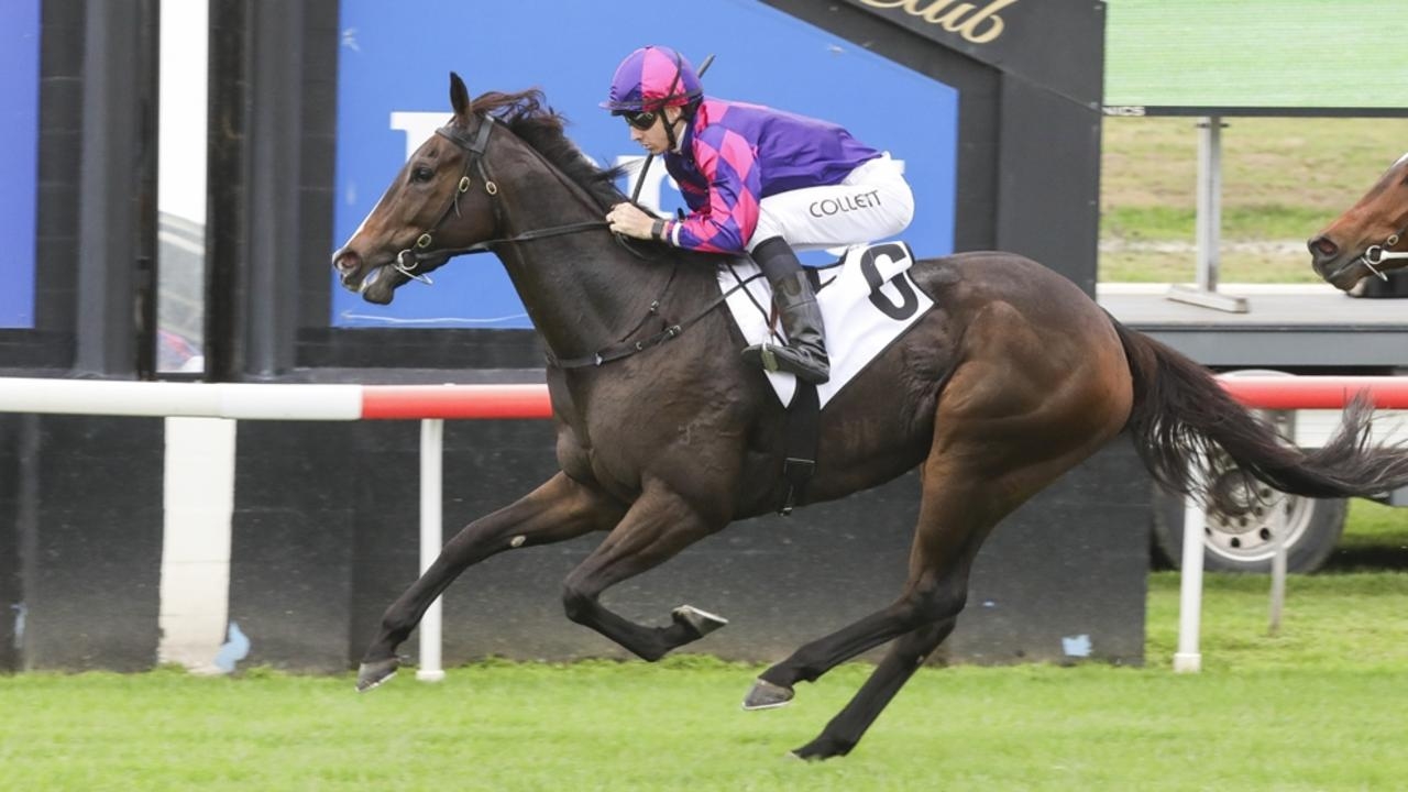 ‘She's a nice filly': Richard and Will Freedmans to saddle up I Am Brave at Rosehill Gardens