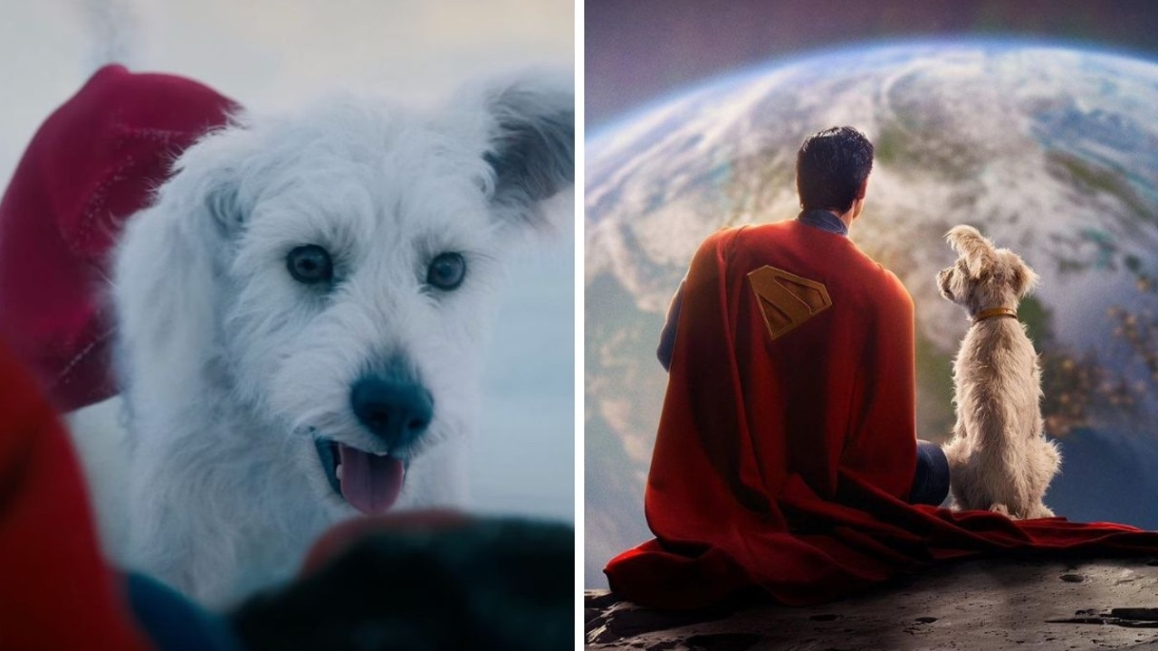 ‘Krypto craze': Moviegoers rush to adopt rescue pups after watching Superman