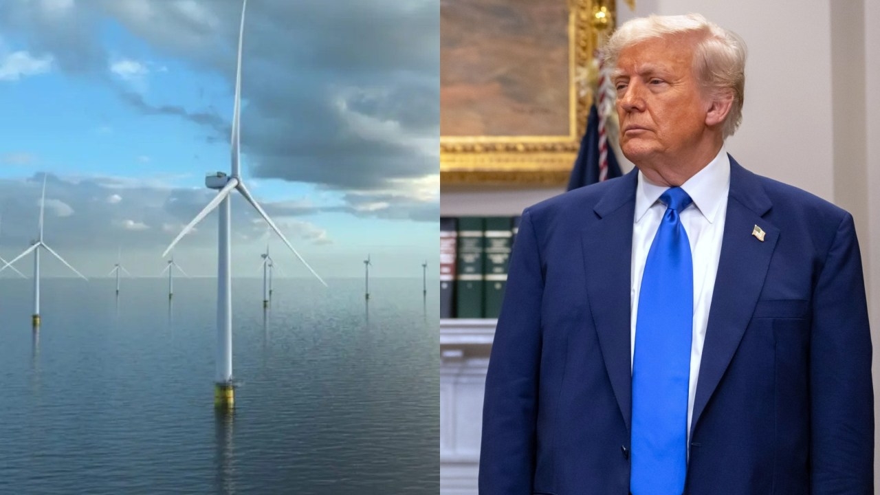 Energy company threatens to pull plug on wind farm off the coast of New York as Trump review sparks $78 million a week in losses