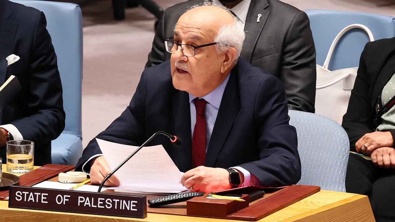 ‘We are out of time': Palestine representative makes impassioned plea to UN