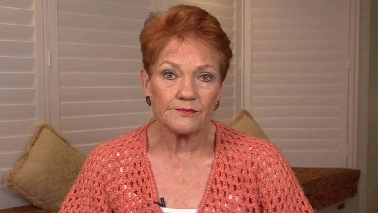 ‘Wake up to ourselves': Pauline Hanson issues grave warning over immigration