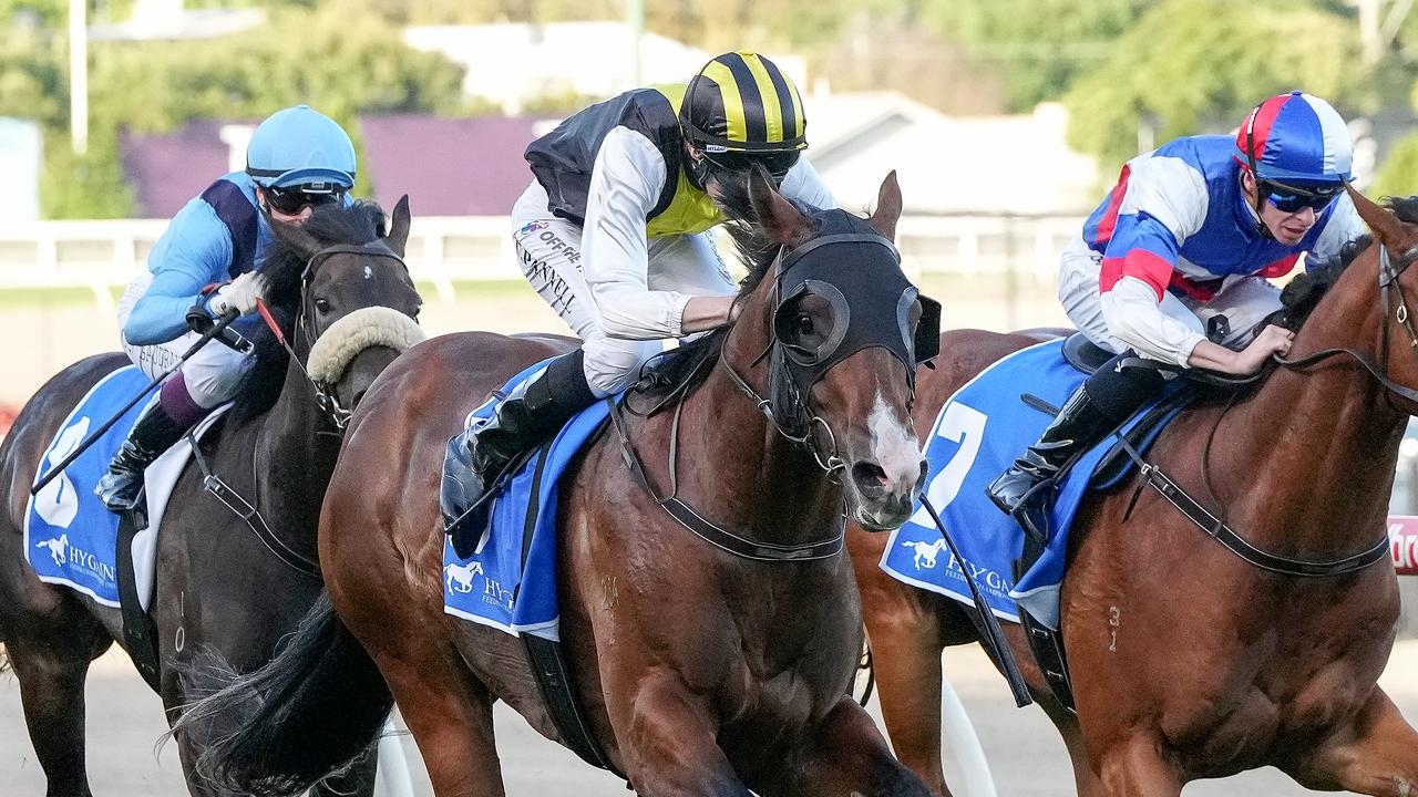 Expensive yearling Cash makes comeback at Murray Bridge