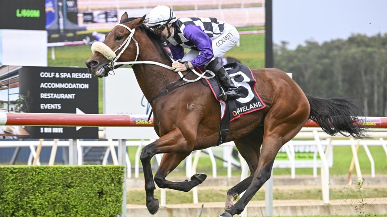 Turf Talk: Ray Thomas, Shayne O'Cass' best bets for racing on Saturday, May 31
