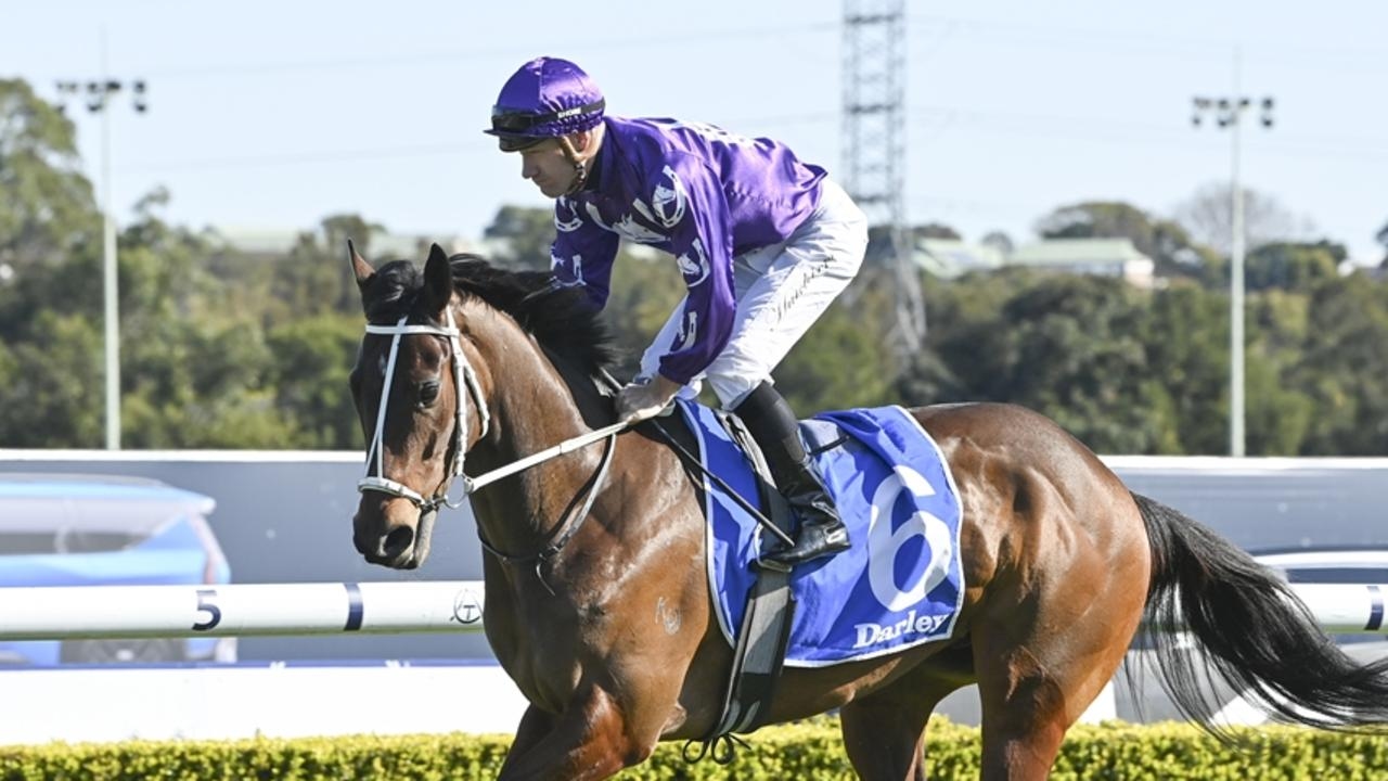 Hawkesbury best bets and inside mail for Thursday, June 26, 2025
