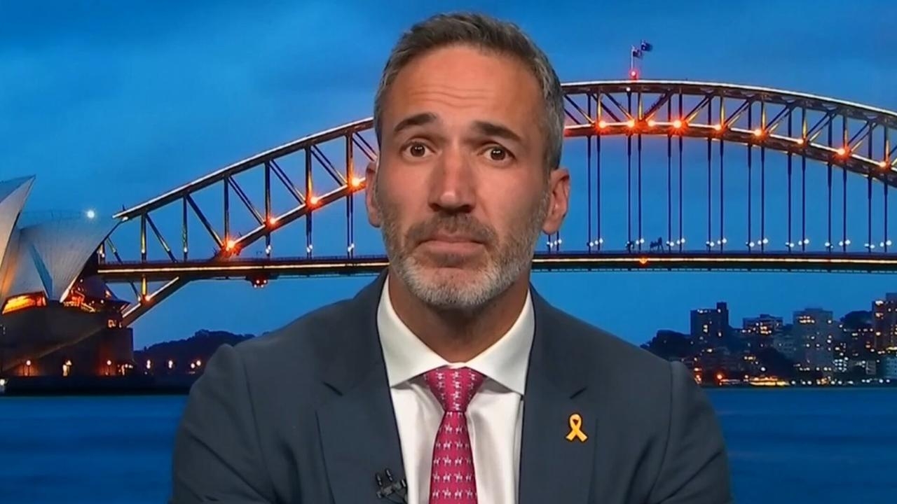 ‘Plainly preposterous': Alex Ryvchin slams Albanese government's ban of Hillel Fuld