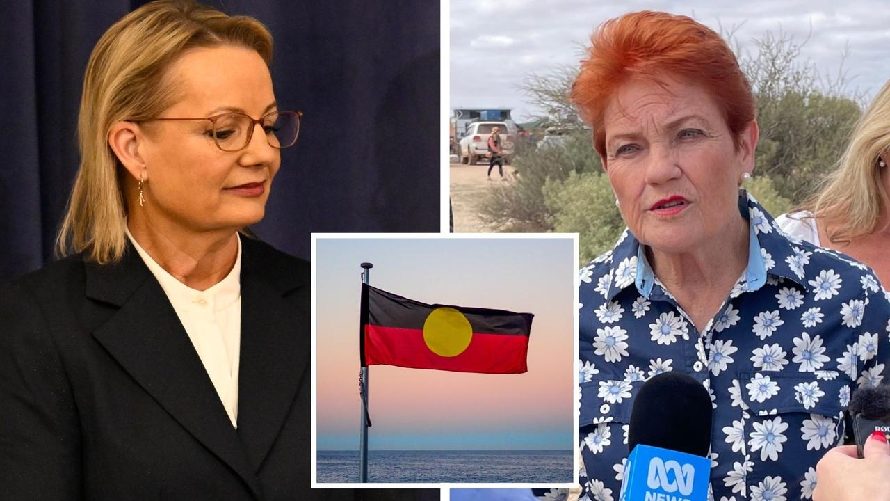 One Nation leader Pauline Hanson ‘disgusted' by Sussan Ley's Acknowledged of Country speech