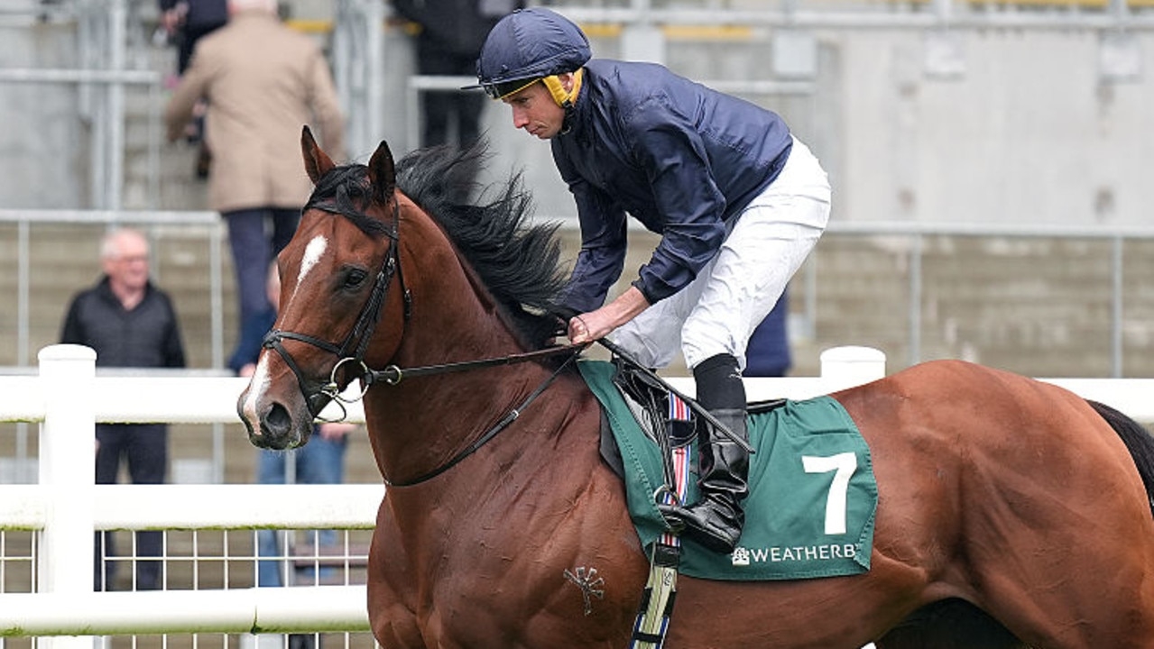 Coolmore backs trainer Aidan O'Brien to have Storm Boy at his best for Royal Ascot