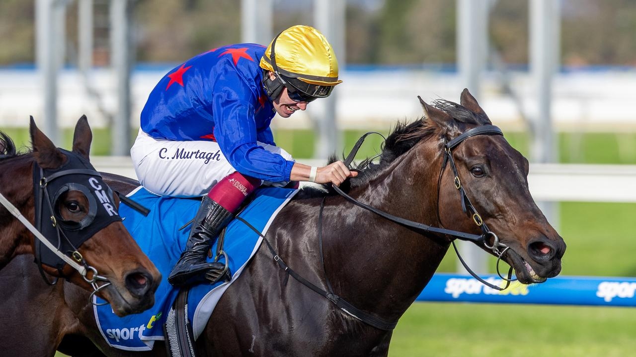 Oakleigh Plate winner Queman digs deep for comeback win in Group 3 Behemoth Stakes win