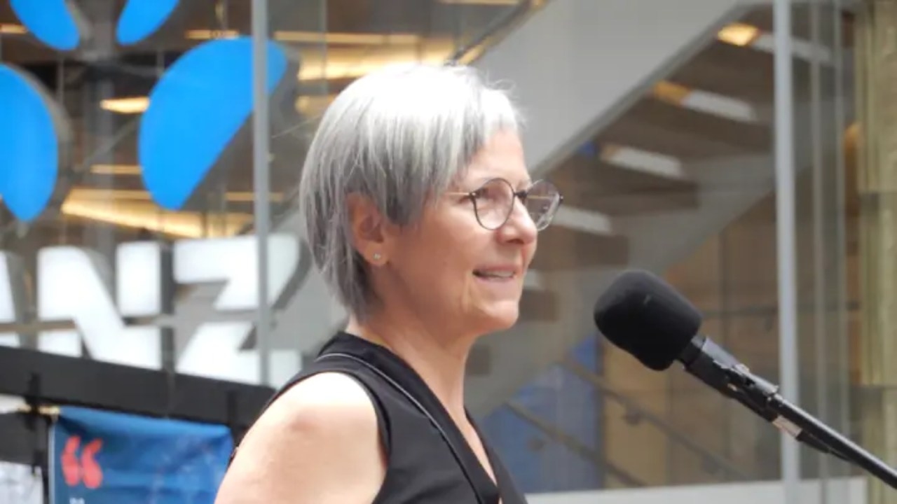 Former SBS newsreader Mary Kostakidis draws big crowd of pro-Palestinian supporters for anti-Semitism case