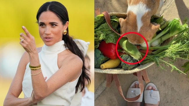 Telltale sign Meghan Markle may have lied about her 'garden haul' of fruit and vegetables