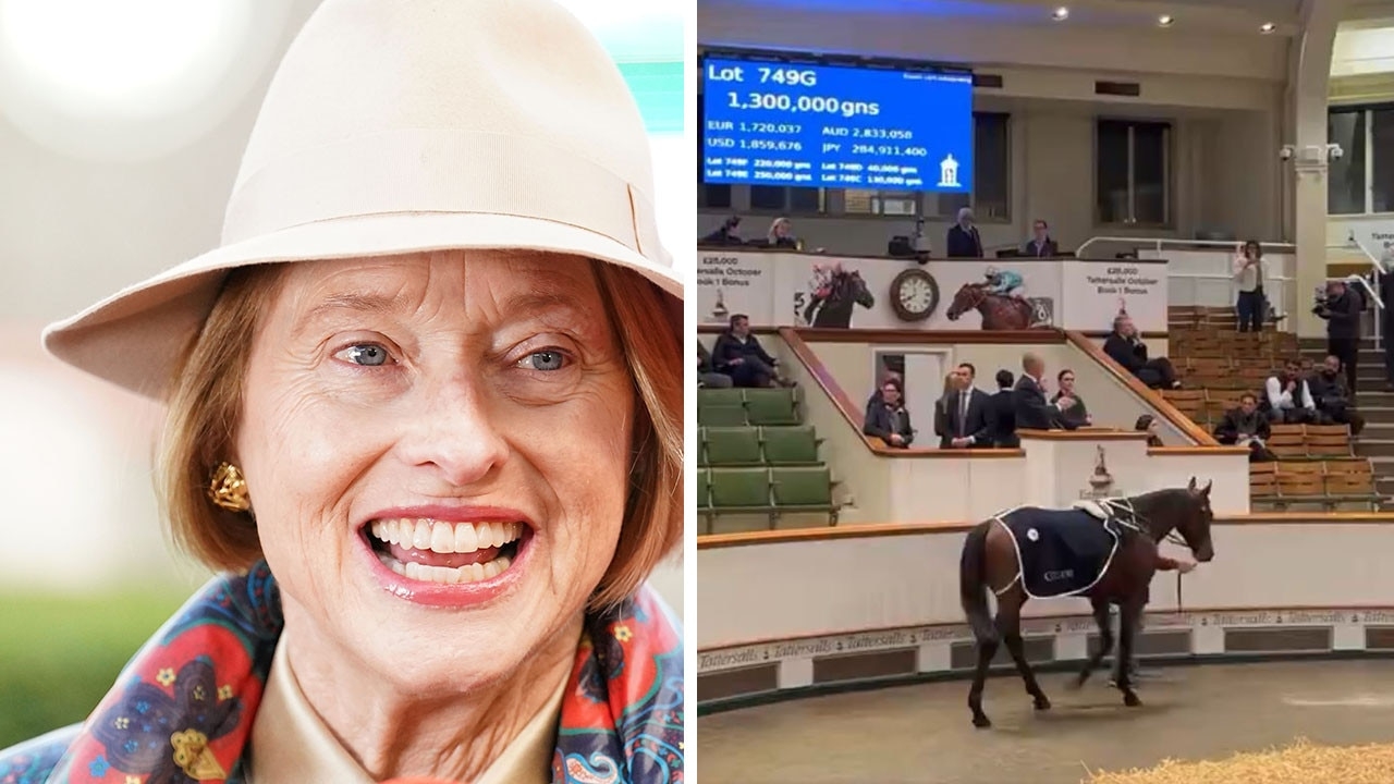 Doomben delight: $2.7m import Sir Delius to step out on Saturday for new trainers Gai Waterhouse and Adrian Bott