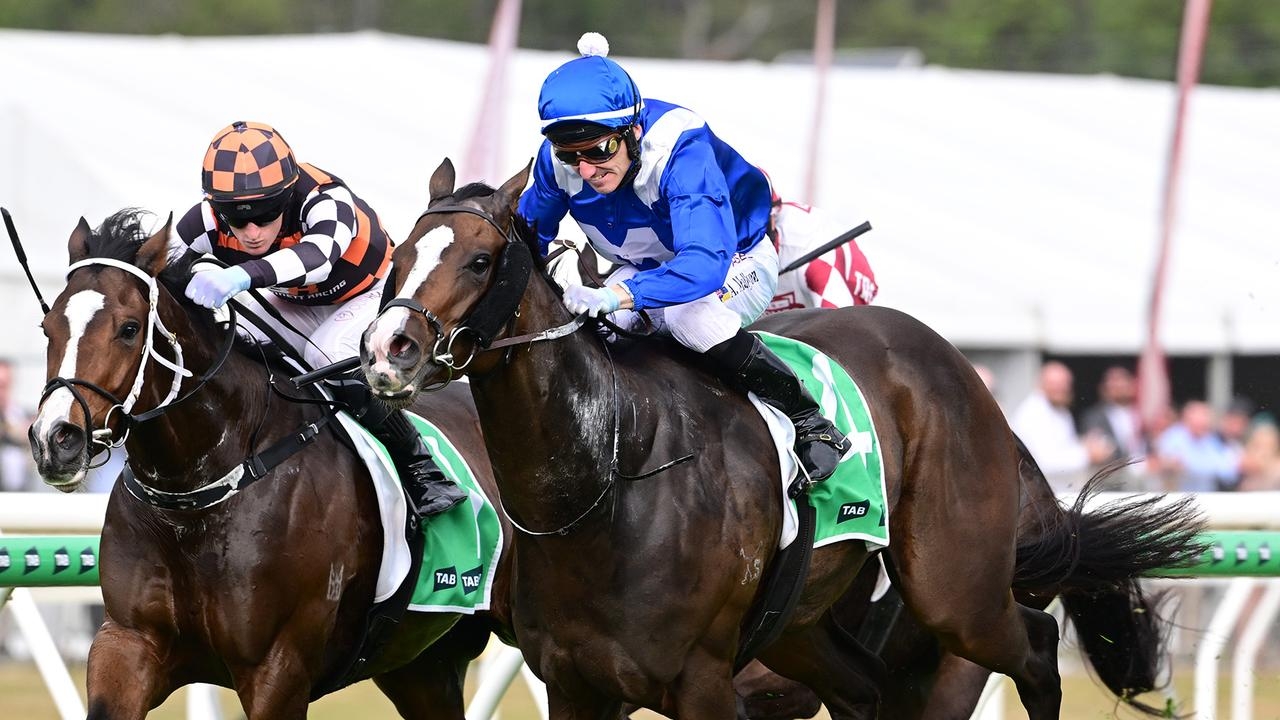 Mister Bianco will carry the colours made famous by Winx when he looks to win the race named in her honour