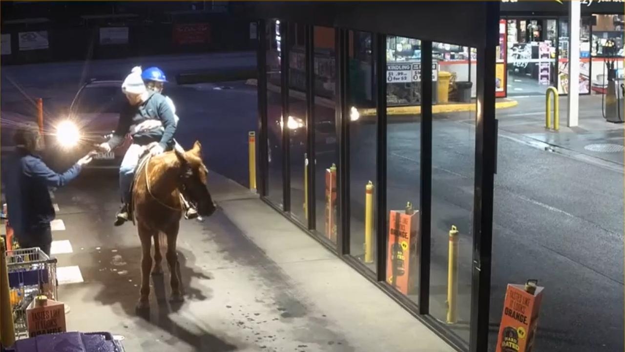 Father of three goes viral for taking horse to Bottle-O drive-thru in bid to save fuel