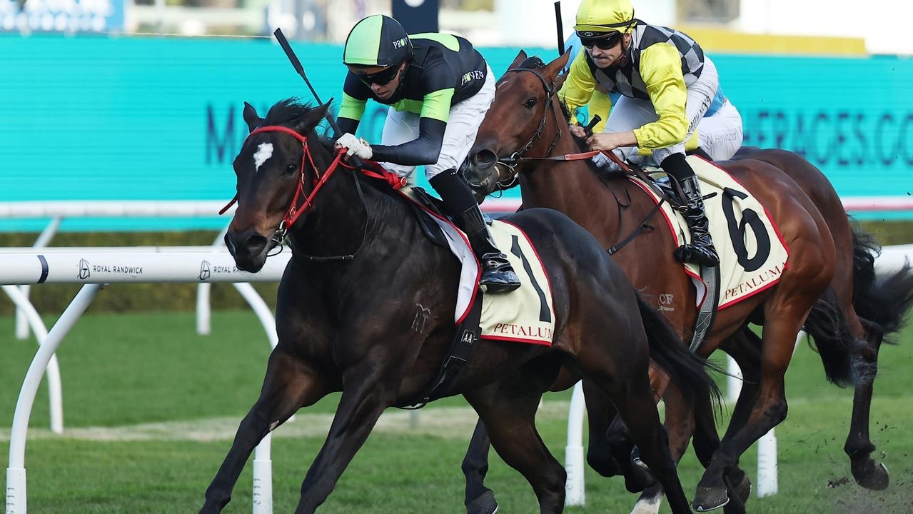 Joseph Pride's progressive young sprinter King's Secret continues his hot form with an impressive win at Randwick