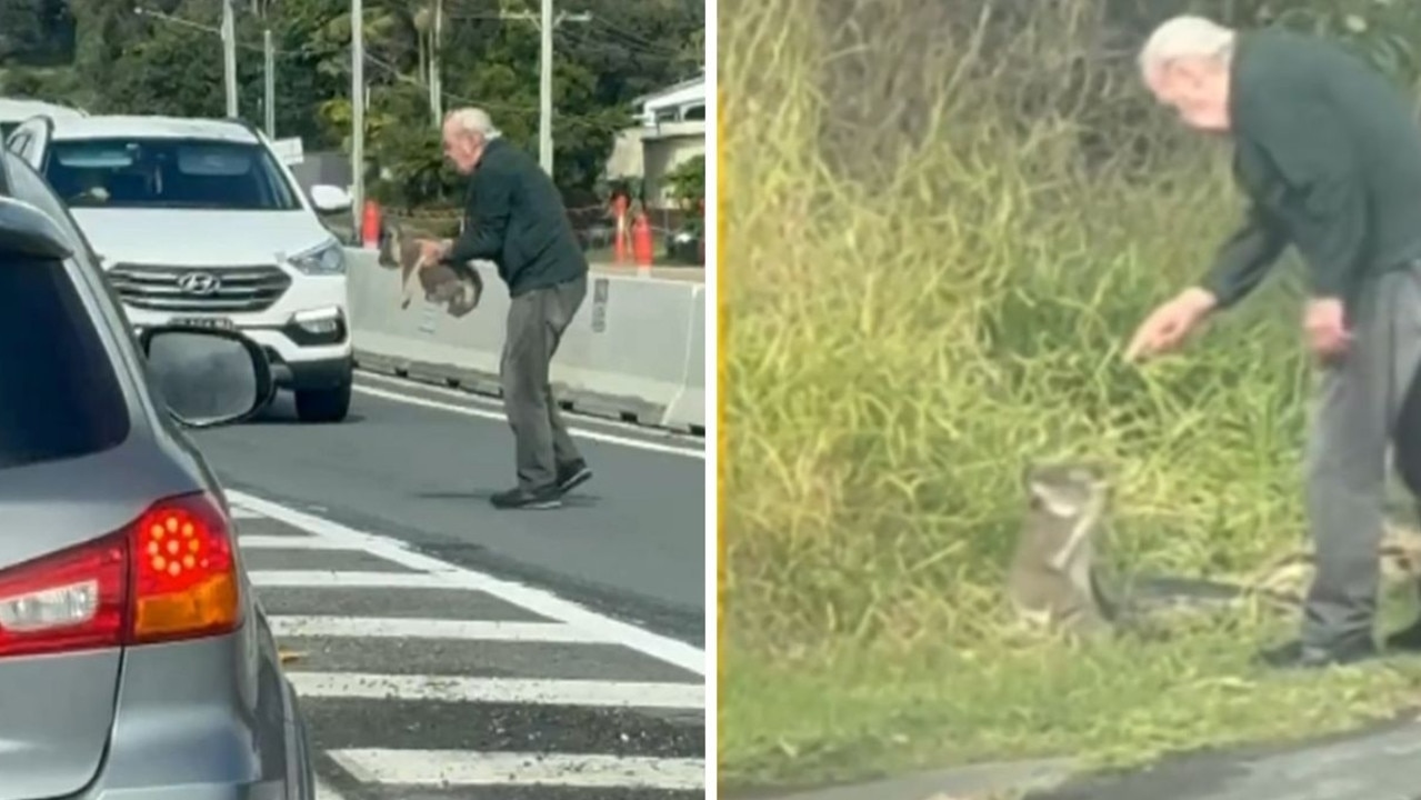 ‘Aussiest thing ever': Old man yells at koala