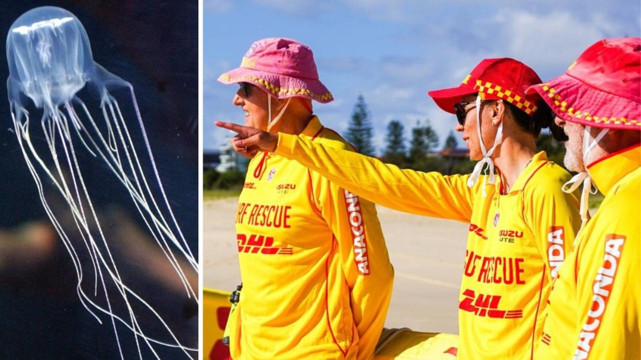 Three swimmers hospitalised after being stung by jellyfish at The Strand