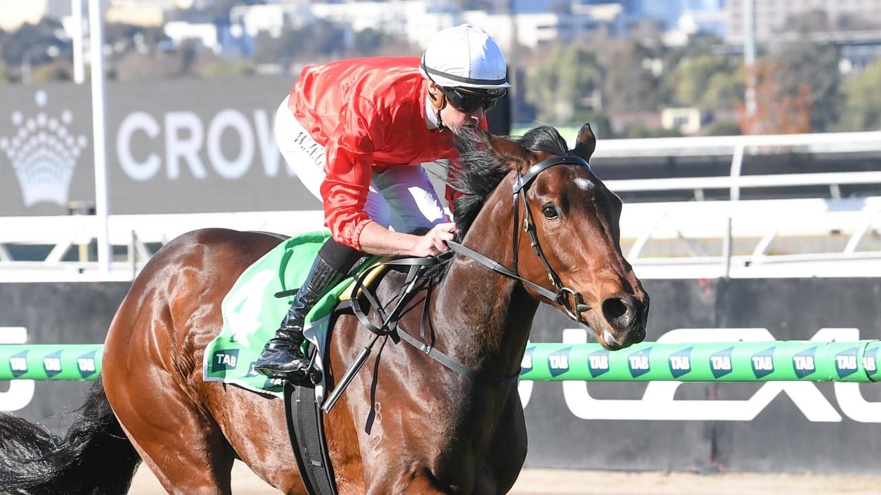 Billy Egan chasing more success with Patrick and Michelle Payne on Finals day at Flemington