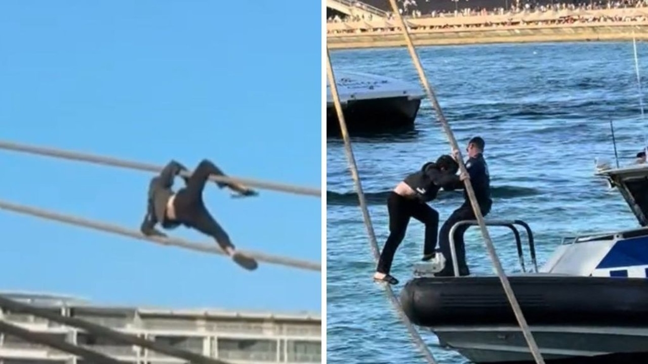 Man who climbed up ropes of cruise ship in Sydney Harbour fined $4000 over ‘really stupid' stunt