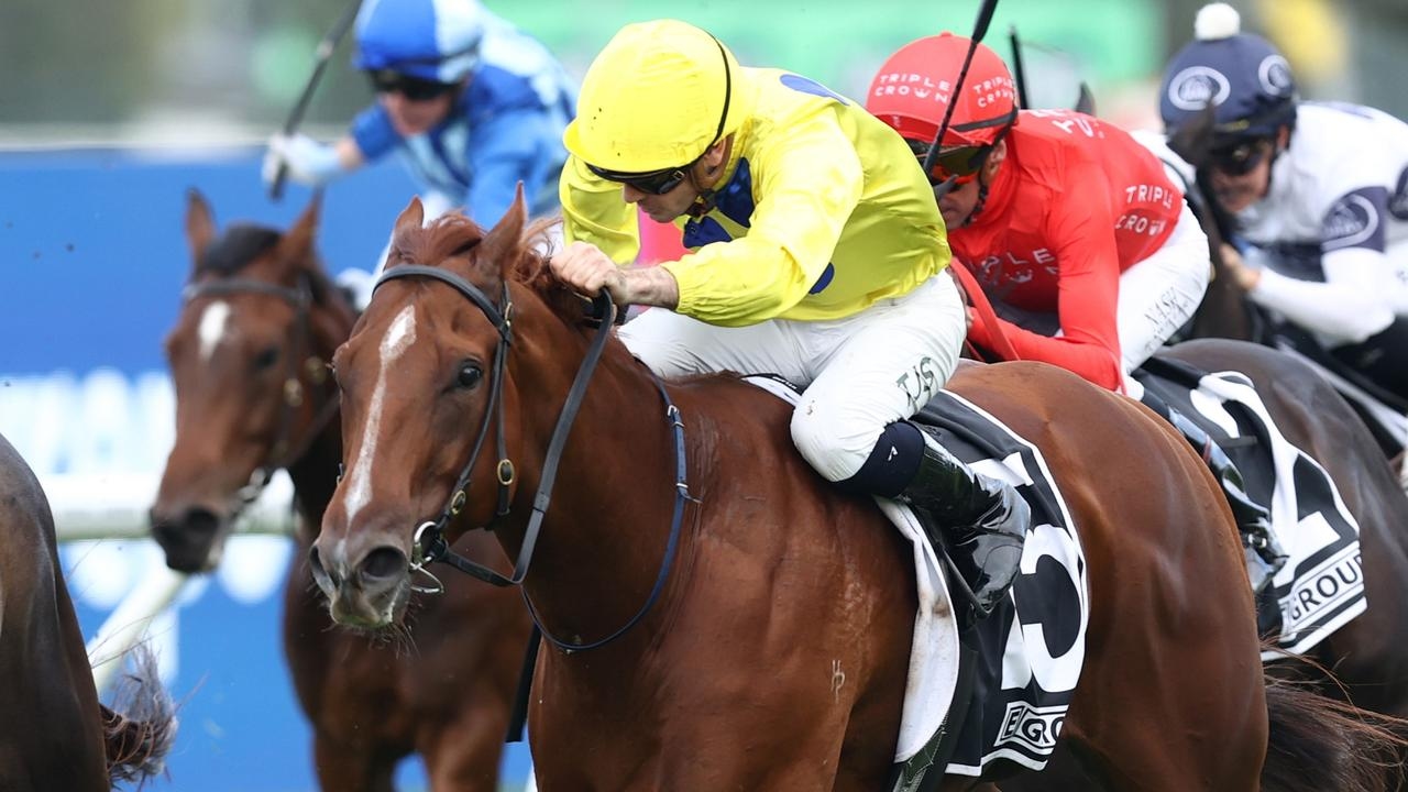 Horse racing tips: Ray Thomas and Ron Dufficy analyse every race for Missile Stakes day at Randwick