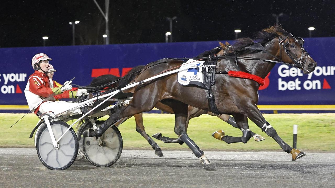 Harness racing: Trainer Chris Svanosio has belief Arcee Phoenix can realise Inter Dominion dream