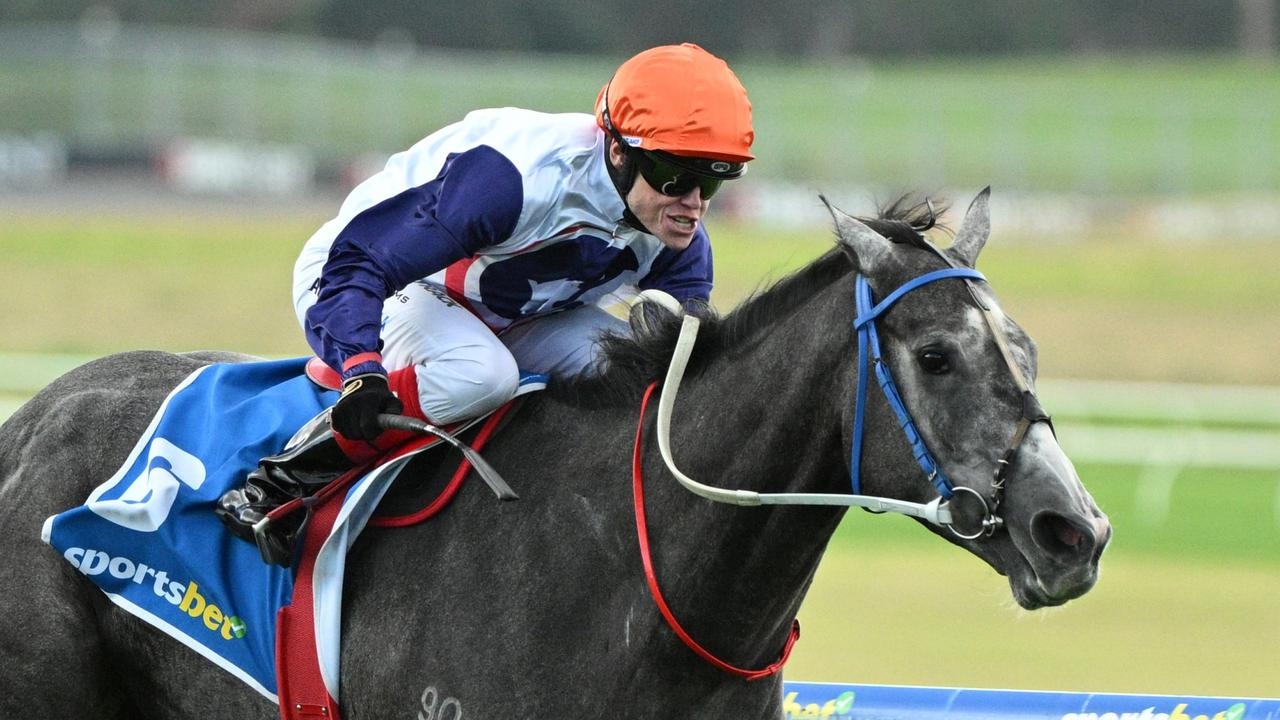Craig Williams prioritises Queensland carnival Group 1s over Melbourne premiership chase