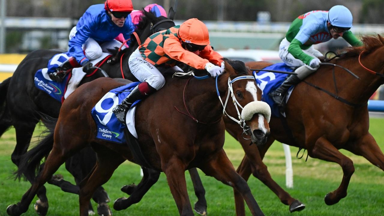 Bridal Waltz does it again with Bletchingly Stakes triumph as Peter Moody aims higher