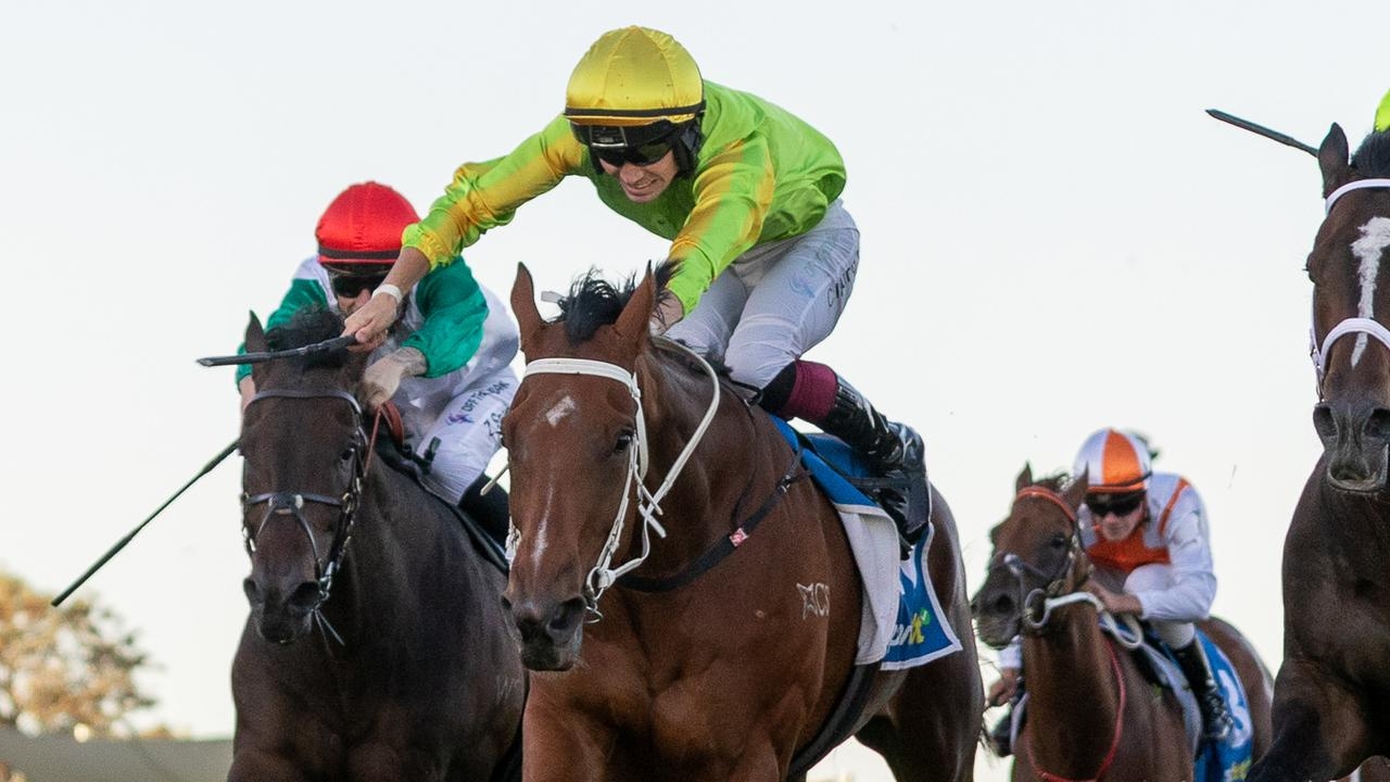 Snoopy Now set for Victorian test in Darren Galley Mile at Flemington
