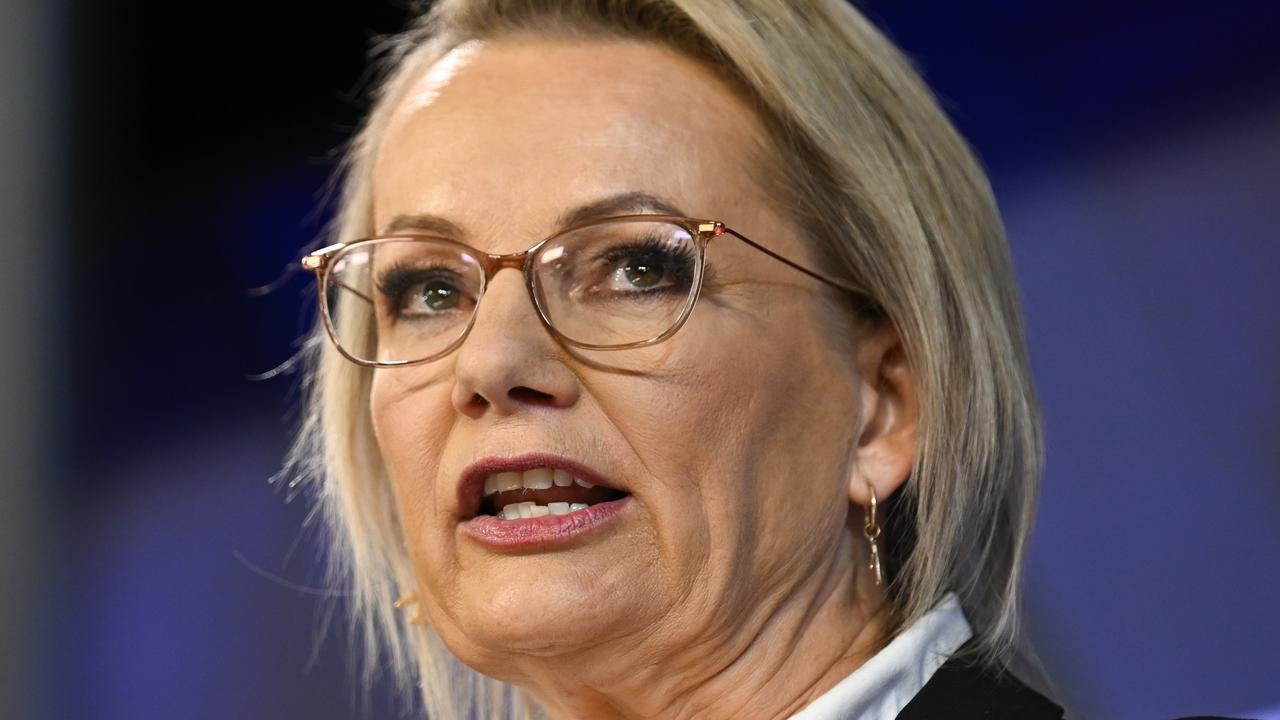‘Blamed myself': Sussan Ley reveals she has experienced coercive control