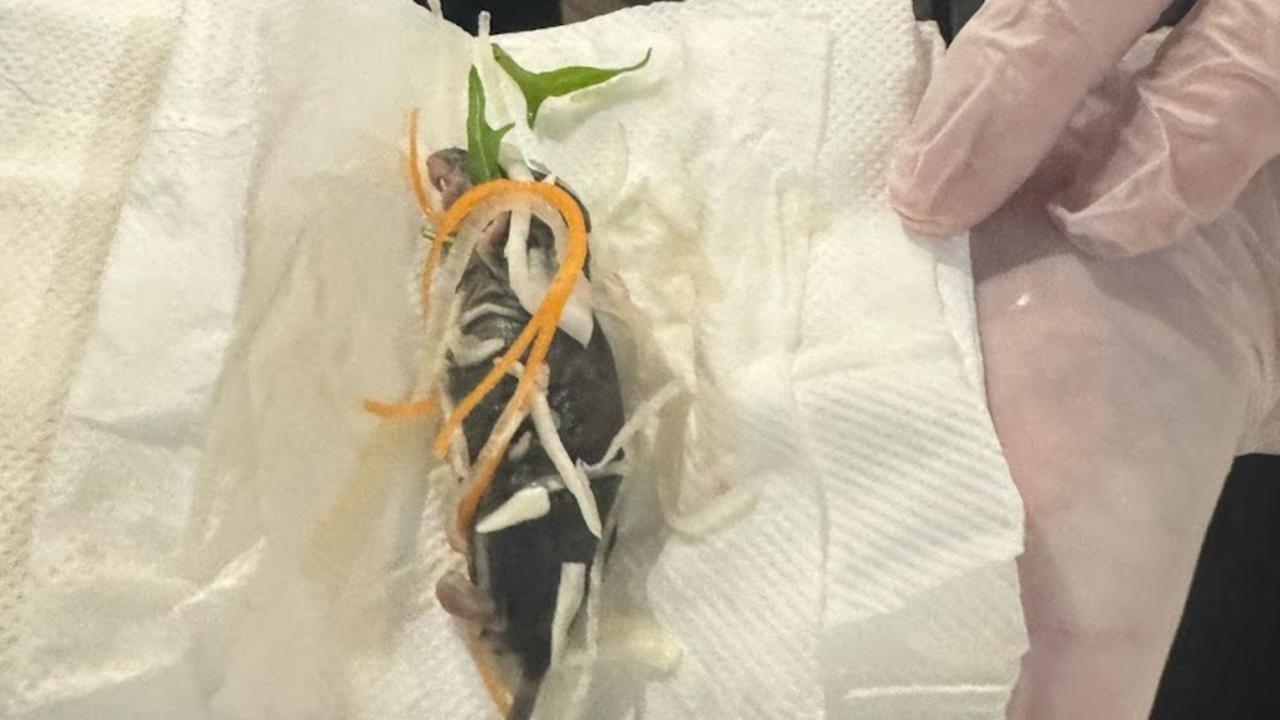 Woman claims to have found dead rat in Sydney salad