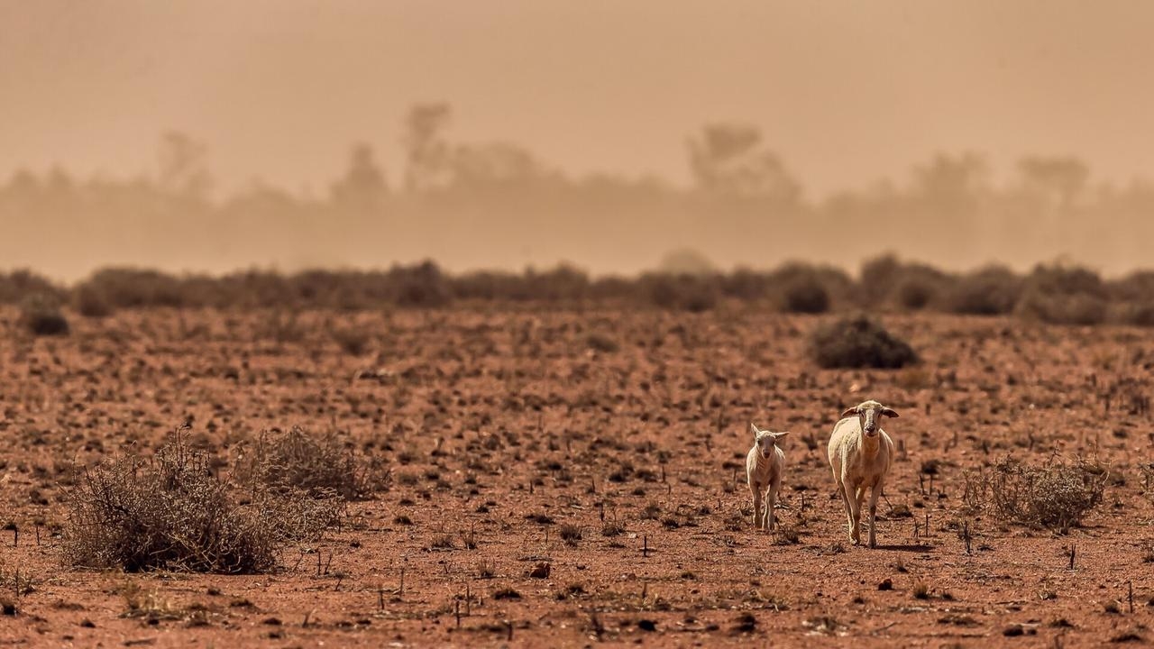 ‘Soul crushing' drought in Tasmania influences $73 million dollar support package