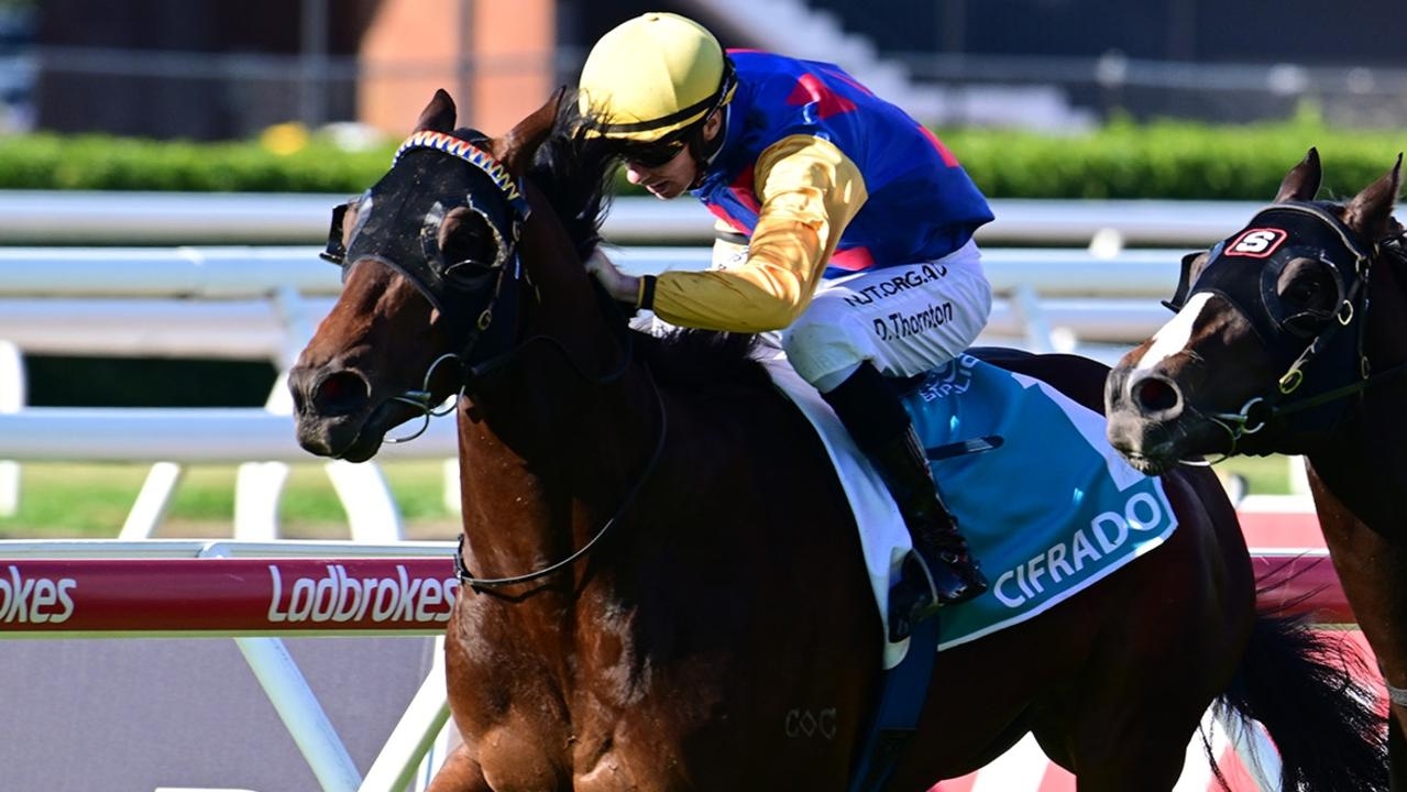 Trainer Rex Lipp says Cifrado must win BRC Sprint to make Stradbroke Handicap field
