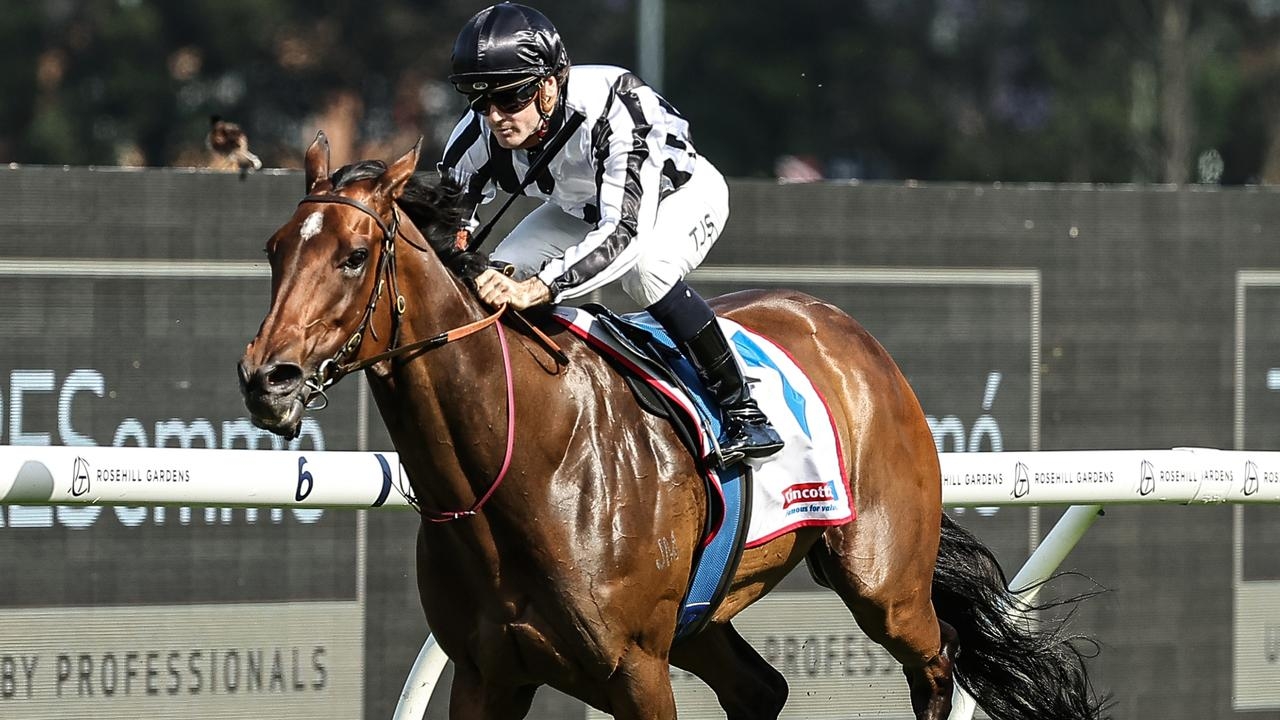 Group 1 winners lead the way in Hawkesbury stand-alone fields