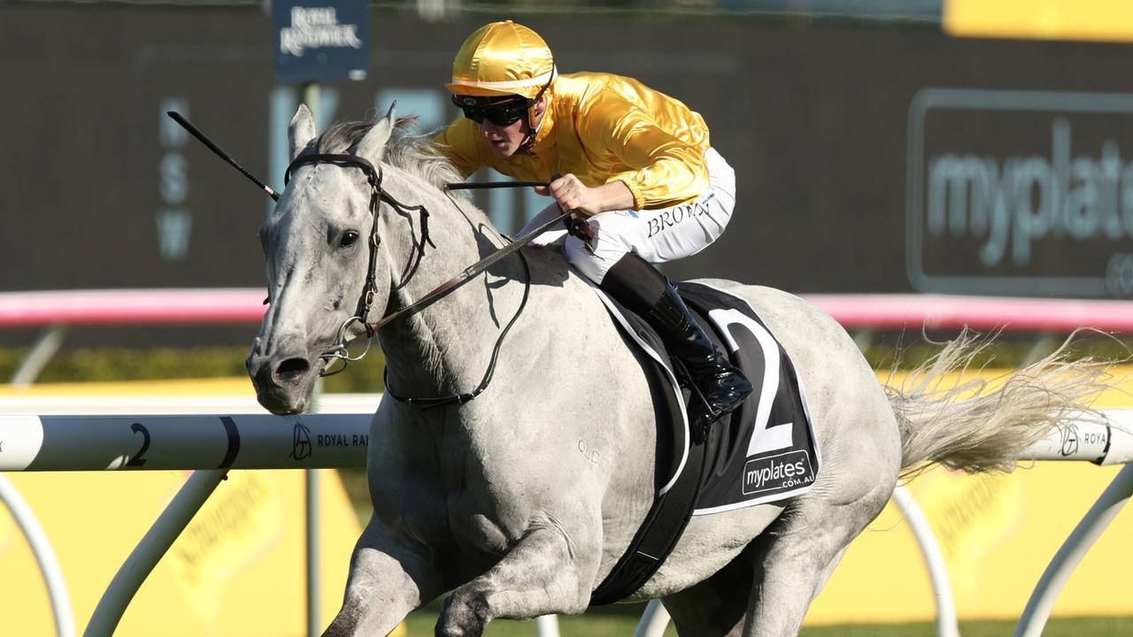‘Grey horse syndrome': Bois D'argent owner surprised by lack of respect for defending Doomben Cup champ ahead of Hollindale Stakes