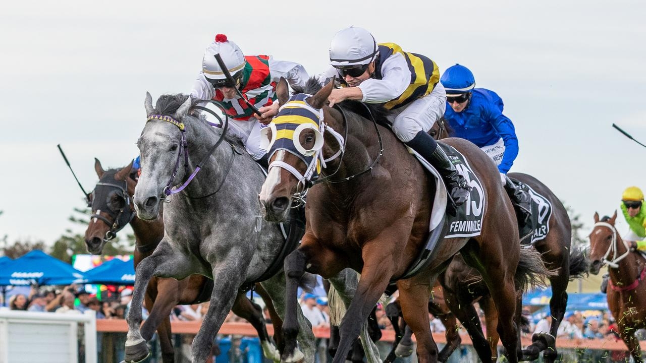 Trainer Emma-Lee Browne confident Statuario can reverse result on Femminile in Queensland Derby rematch