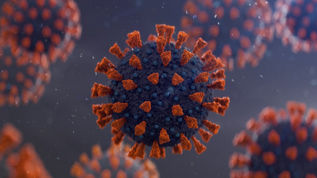 Fears over new highly contagious Covid-19 strain surging as states records increase in infections