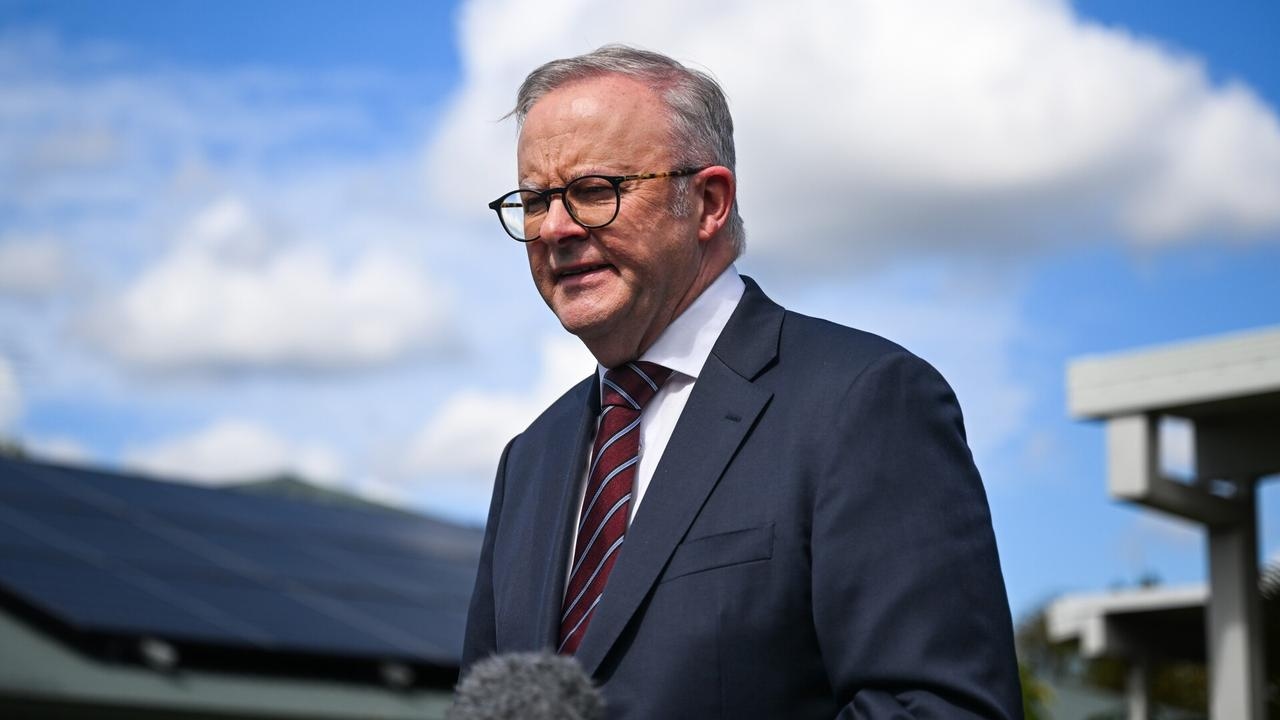 ‘Time to admit you got it wrong': Hamas ‘cheer on' Albanese's foreign policy