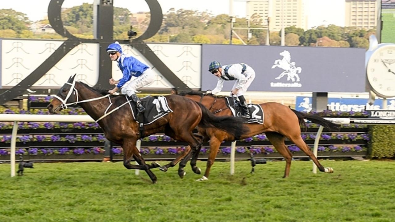 Gerald Ryan and Sterling Alexiou to saddle up Cheeky Smirk at Hawkesbury on Tuesday