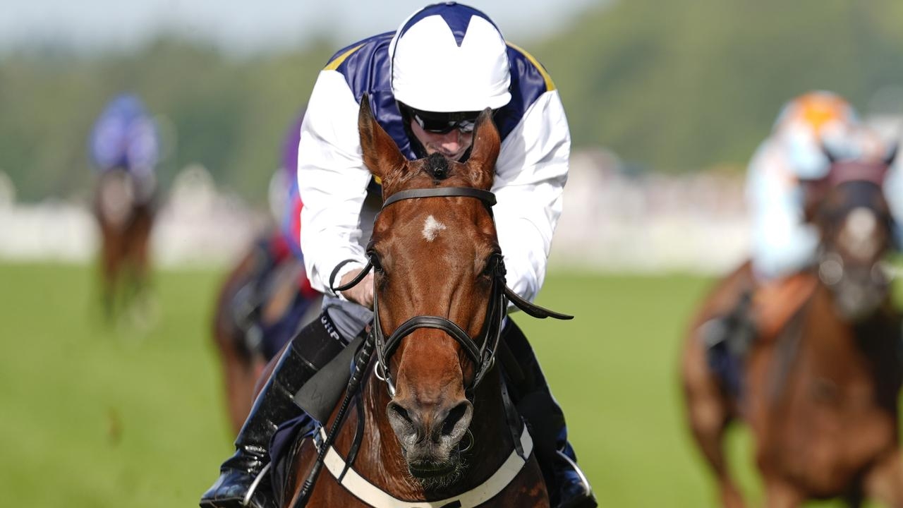 Irish master trainer Willie Mullins strengthens Melbourne Cup hand with Royal Ascot winner Sober