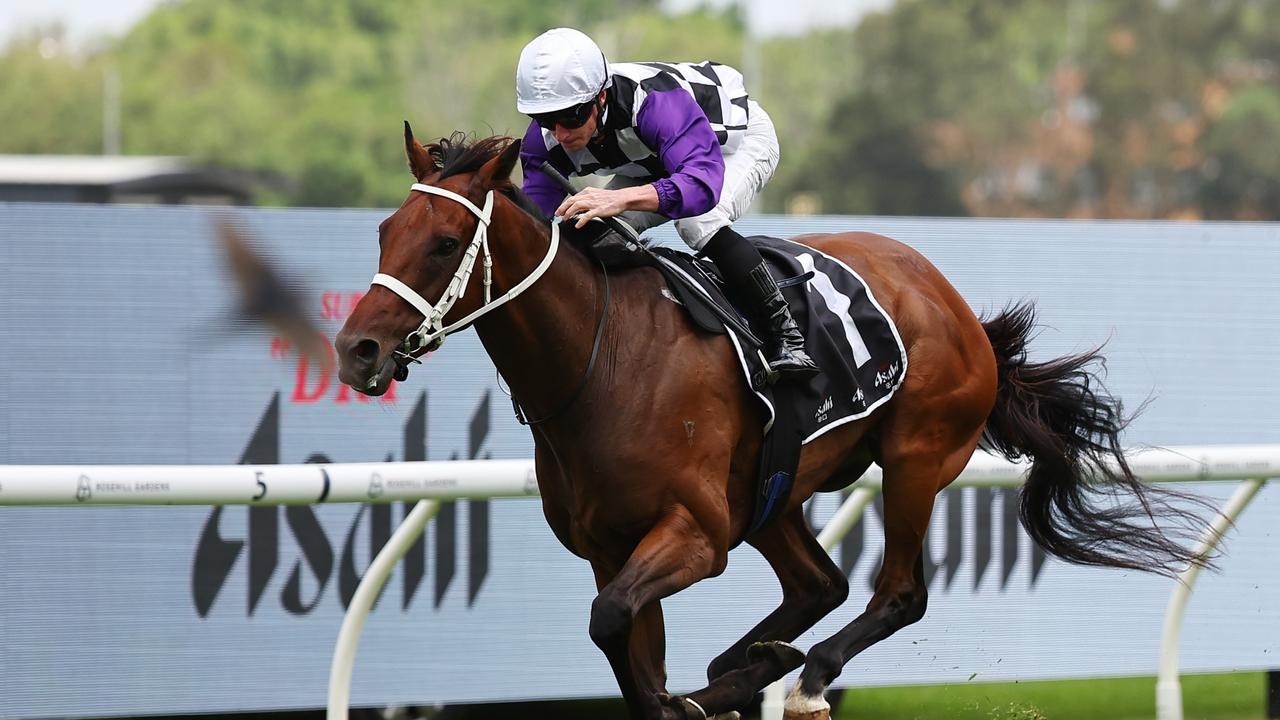 Ray Thomas and Ron Dufficy's race-by-race analysis and tips for Hawkesbury on Saturday