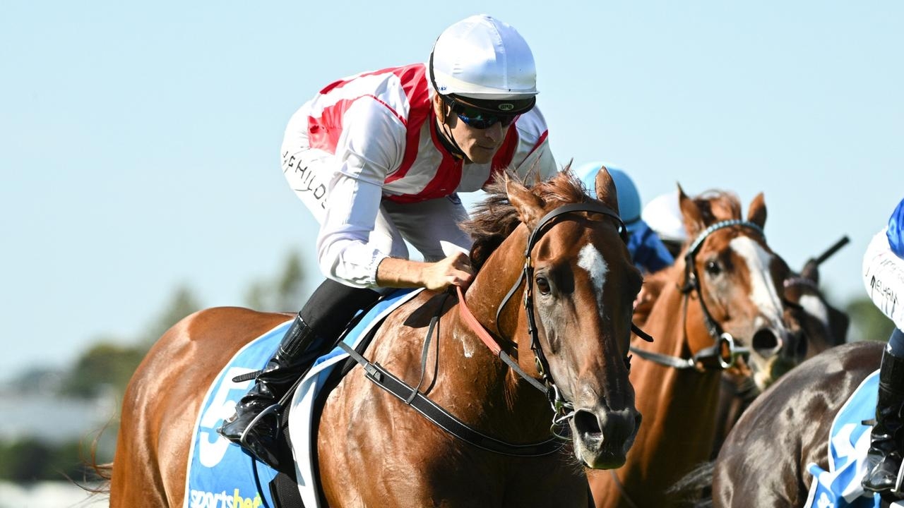 Grahame Begg shifts focus to Nonconformist at Flemington after Zloties' untimely injury ends Group 1 swan song