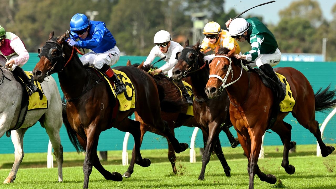 Godolphin's promising colt Zebra Finch pushes for Group 1 J J Atkins start after his impressive victory at Rosehill