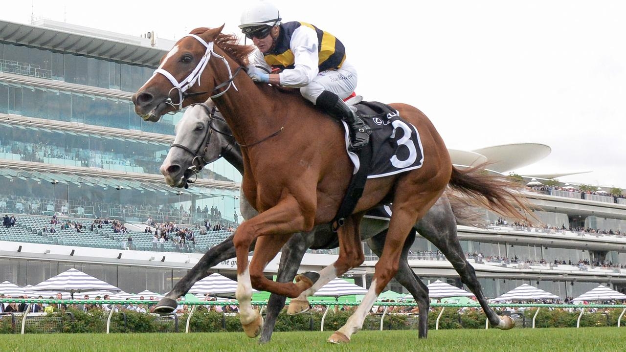 Trainer Phillip Stokes working on Memsie Stakes return for Melbourne Cup contender Deakin