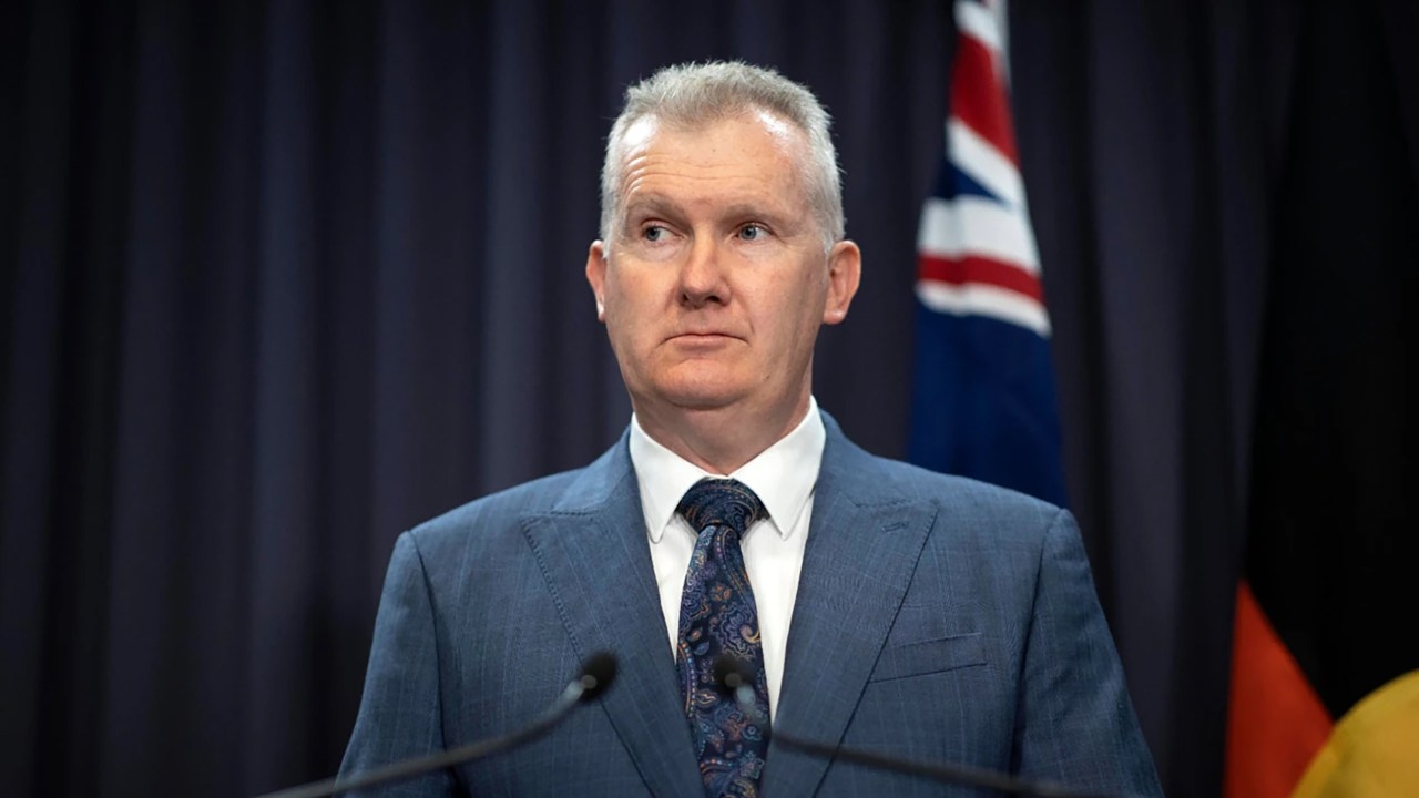 Tony Burke bans Israeli politician from Australia as senior MP Simcha Rothman slapped with three-year ban