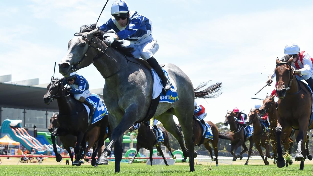 John McArdle-trained My Gladiola primed for Caulfield return in 2025 Quezette Stakes