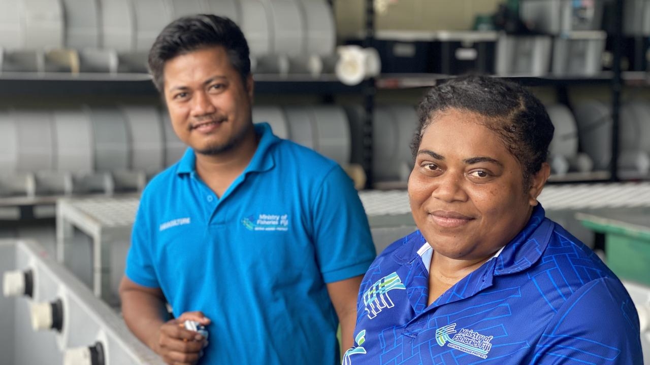 Emerging oyster and seaweed farming in Fiji and northern Australia