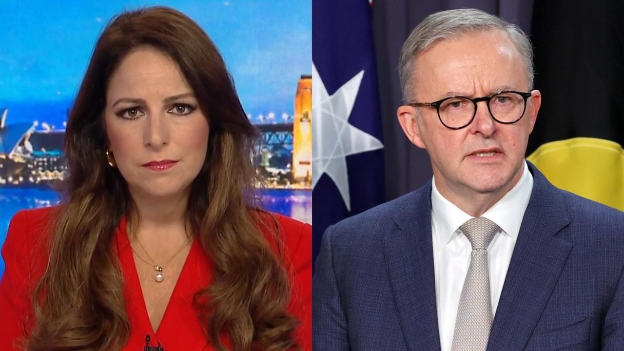 ‘Morally corrupt': Sharri Markson reacts to Hamas ‘celebrating' Albanese's Palestine call